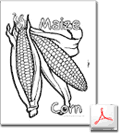 Corn Coloring Page